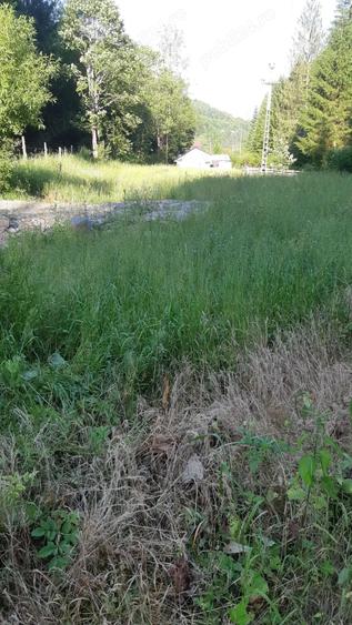 Teren de 2250 mp, în Albac