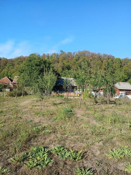 Casă cu 3 camere în Bologa