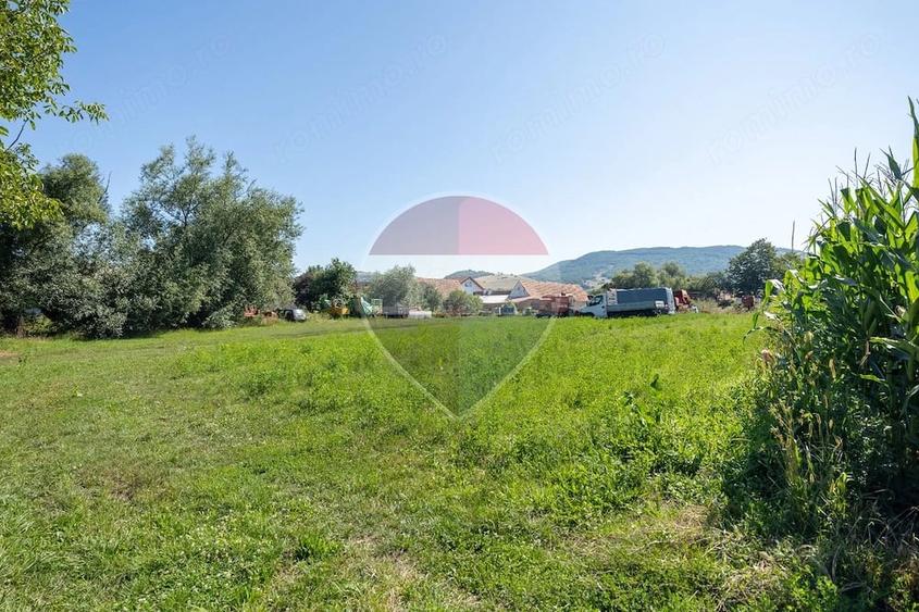 Teren de 1620 mp, în Comana