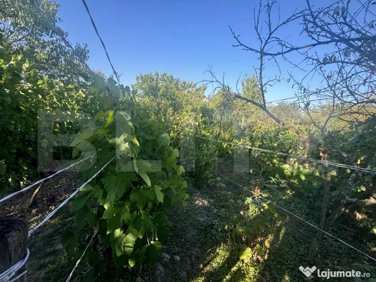 Casă cu 2 camere cu Teren 1021 Mp în Viile Satu Mare