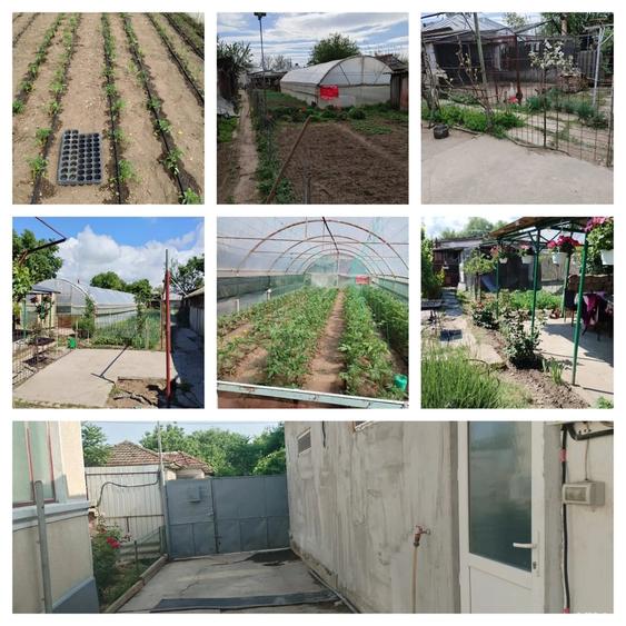 Casă cu 6 camere cu Teren 1100 Mp în Turnu Măgurele