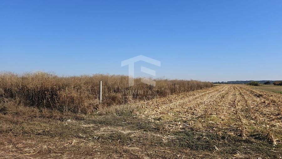 Teren agricol intravilan de 1148 mp, în Copăceni