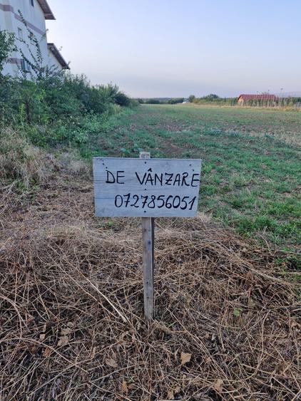 Spațiu comercial, în Balotești