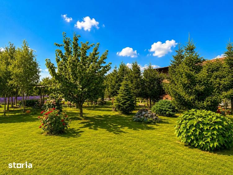 Casă cu 5 camere cu Teren 7320 Mp în Curcani