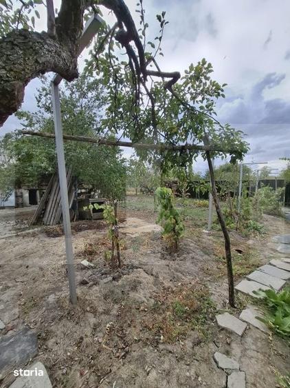 Casă cu 3 camere cu Teren 2252 Mp în Valea Mare