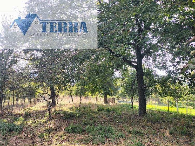 Casă individuală cu 4 camere cu Teren 2700 Mp în Coșești