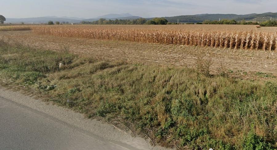 Teren Construcții extravilan de 3.5 mp, în Sud