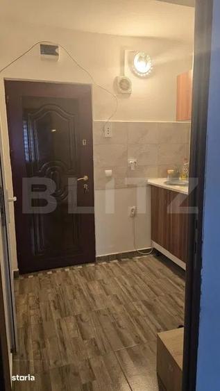 Apartament 1 camera, 27 mp, pet friendly, zona Bulgaria - 6