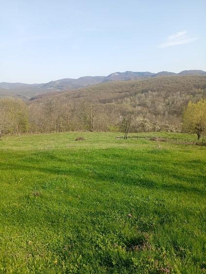Teren Construcții intravilan de 1000 mp, în Meteș