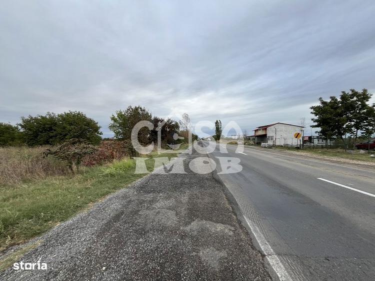 Teren de 15000 mp, în Centură