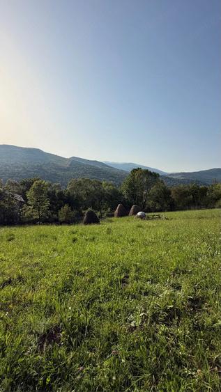 Teren de 1200 mp, în Valea Doftanei