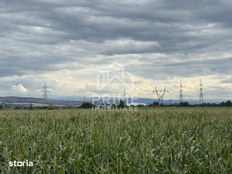 Teren de 6936 mp, în Industrială