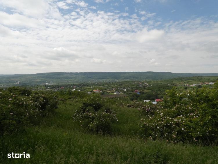 Casă cu 6 camere cu Teren 12900 Mp în Cotnari