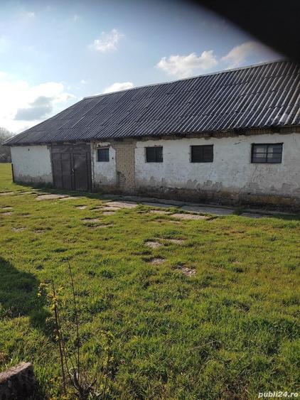 Teren de 2250 mp, în Beliu