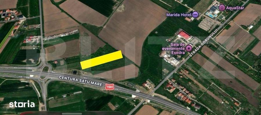 Teren de 6500 mp, în Lazuri