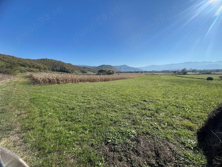 Teren de 7500 mp, în Central