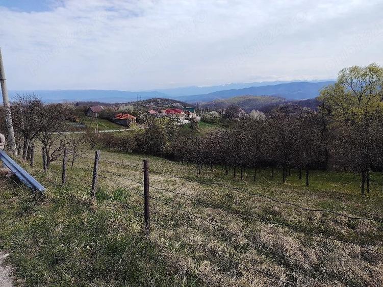 Teren de 2700 mp, în Ghelari
