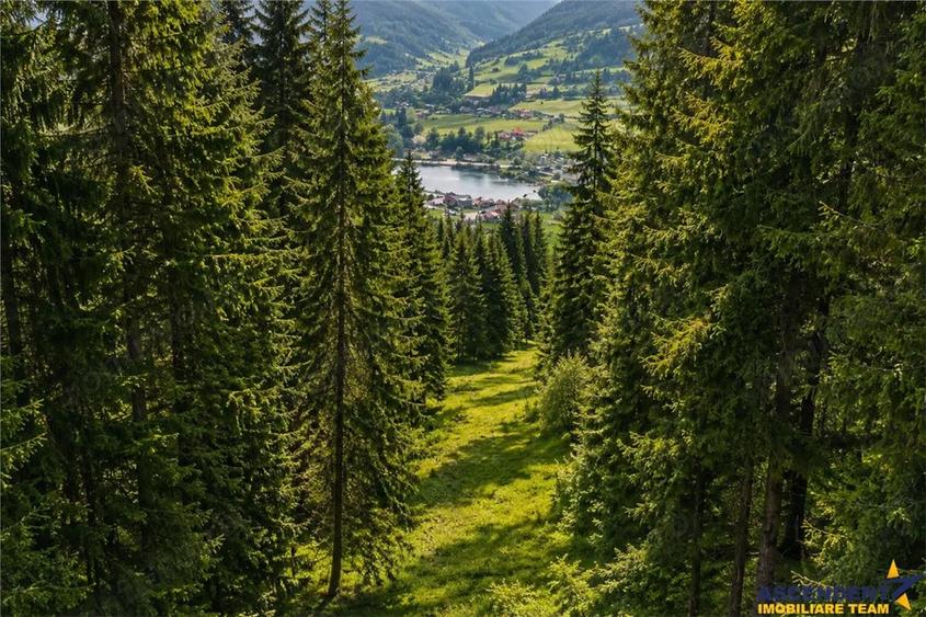 Teren de 7800 mp, în Lunca