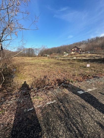 Teren intravilan de 3600 mp, în Tăuții-Măgherăuș