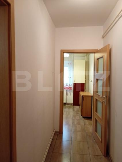 Apartament cu 2 camere decomandat, mobilat în Alexandru cel Bun