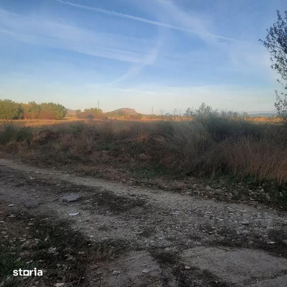 Teren de 7500 mp, în DHS