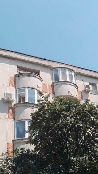 Dau in chirie garsoniera in Manastur , strada Almasului, Cluj - 12