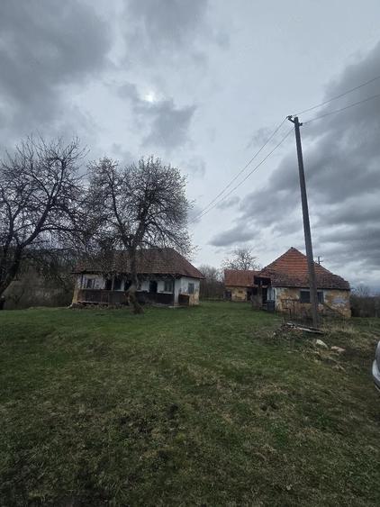 Casă cu Teren 1000 Mp în Stoieneasa