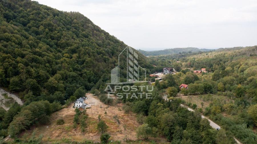 Teren agricol extravilan de 5000 mp, în Borlova
