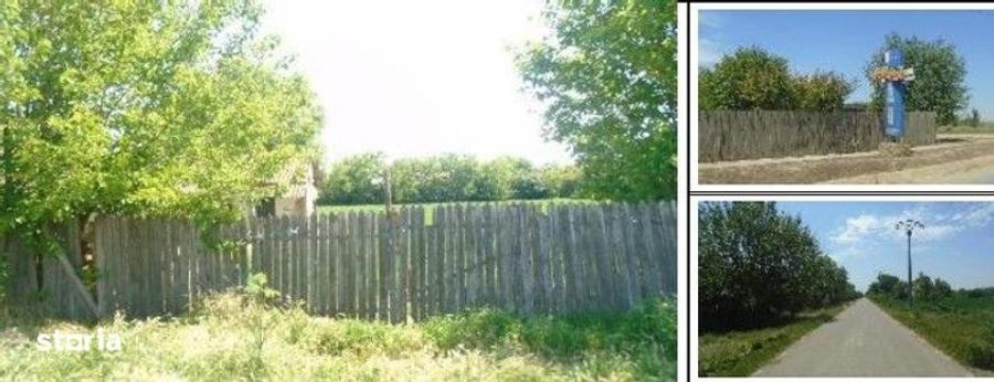 Casă cu 3 camere cu Teren 2877 Mp în Victoria
