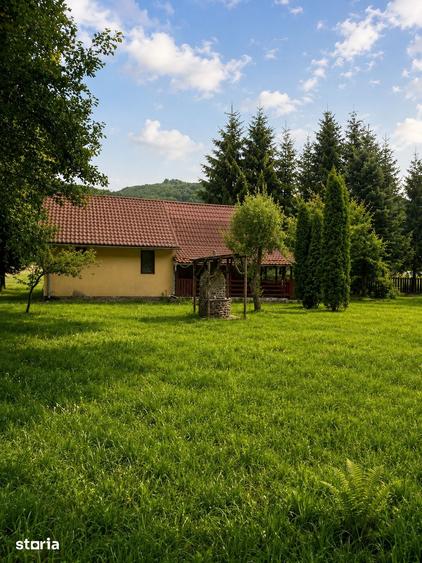 Casa de vacan?a in Campu Ceta?ii,teren 2.400 mp, langa rau ?i padure - 7