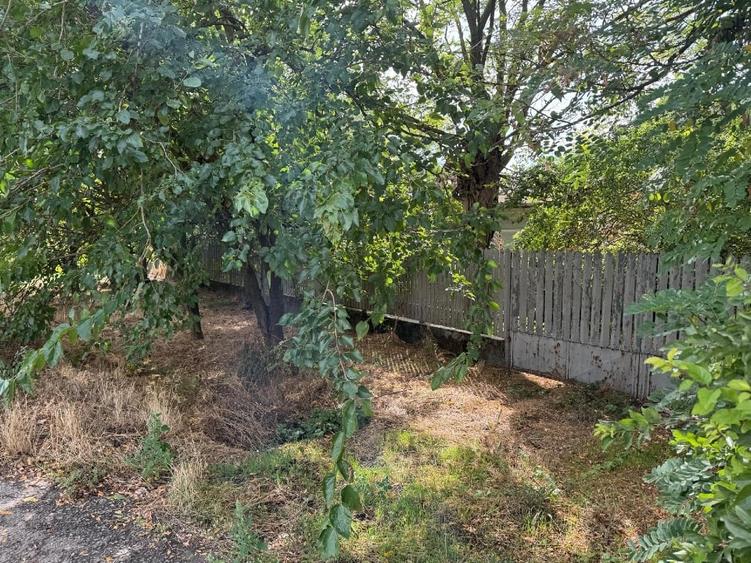 Casă individuală cu 5 camere cu Teren 965 Mp în Frumușani