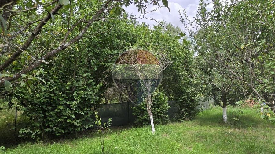 Casă individuală cu 2 camere cu Teren 2800 Mp în Elciu