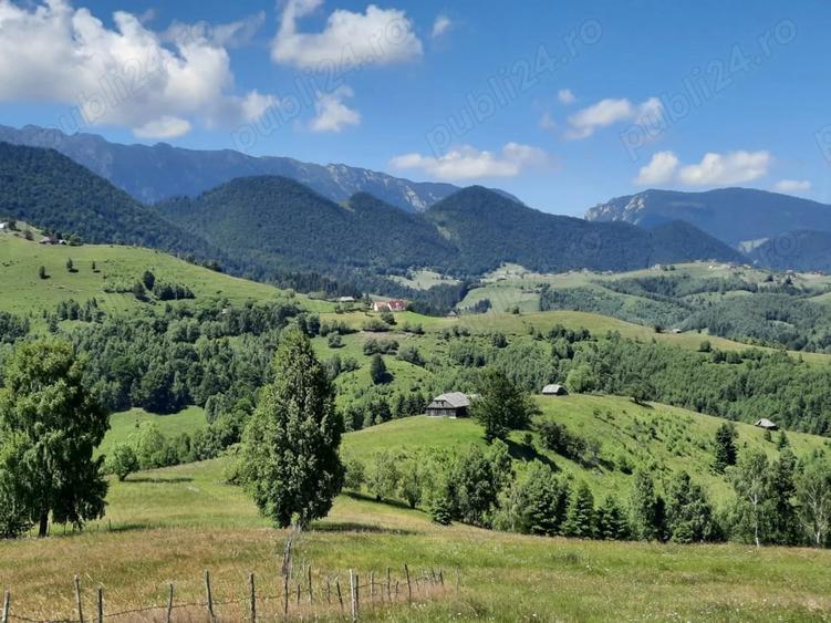 Teren de 40000 mp, în Șirnea