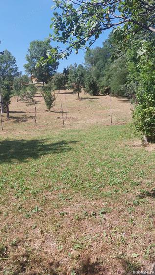 Teren de 2000 mp, în Pietriceaua