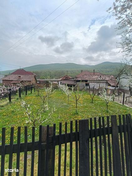 Casă cu 3 camere cu Teren 1760 Mp în Meteș