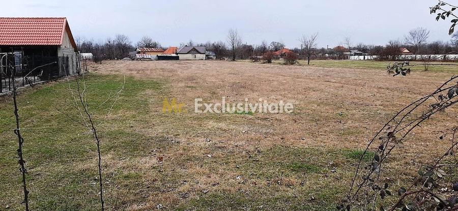 Teren de 4972 mp, în Polovragi