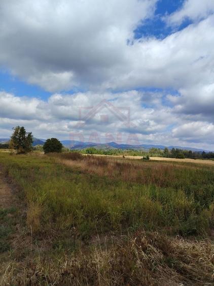 Teren agricol extravilan de 3678 mp, în Obreja