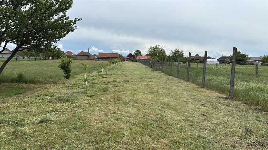 Casă individuală cu 2 camere cu Teren 2297 Mp în Fughiu