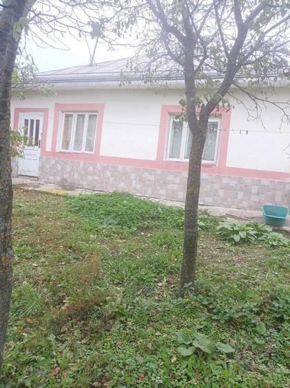 Casă cu 3 camere în Central