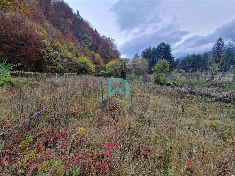 Teren intravilan de 500 mp, în Baciu