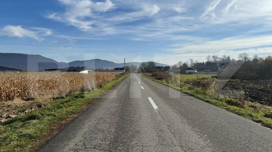 Teren Construcții intravilan de 5300 mp, în Arcalia