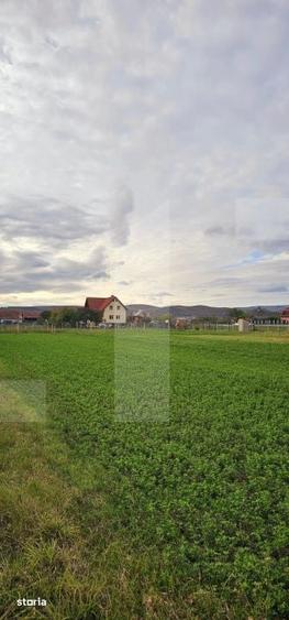 Teren de 1000 mp, în Central