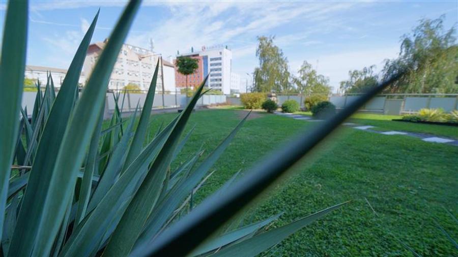 Apartament cu 3 camere decomandat, mobilat în Calea Aradului