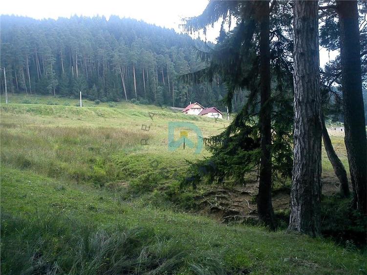 Teren Construcții intravilan de 1500 mp, în Poiana Angelescu