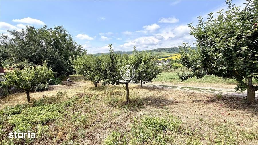 Casă cu 5 camere cu Teren 6400 Mp în Rediu
