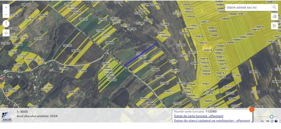 Teren agricol extravilan de 41850 mp, în Cavadinești