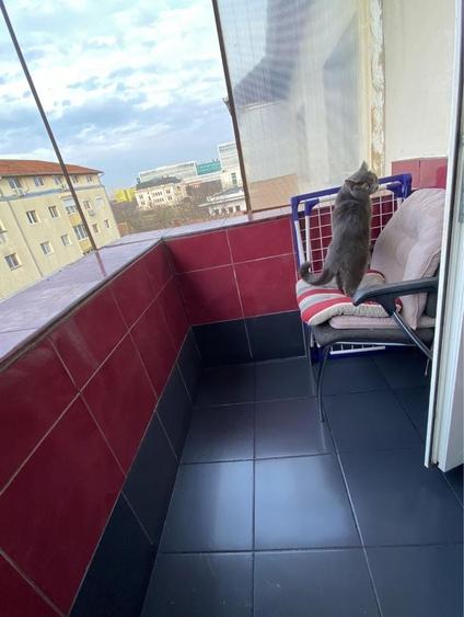proprietar inchiriez apartament 3 camere zona Torontalului Iulius Mall - 6