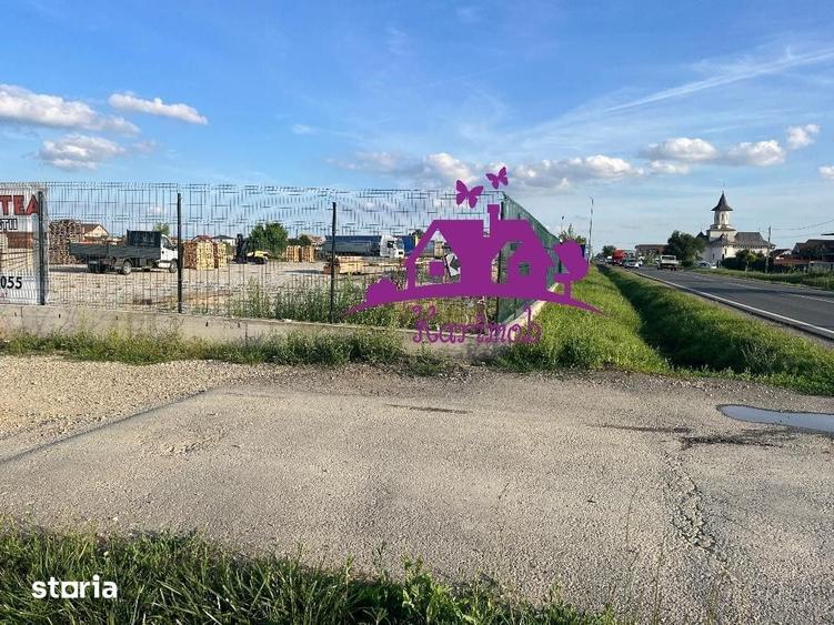Teren de 3000 mp, în Sântandrei