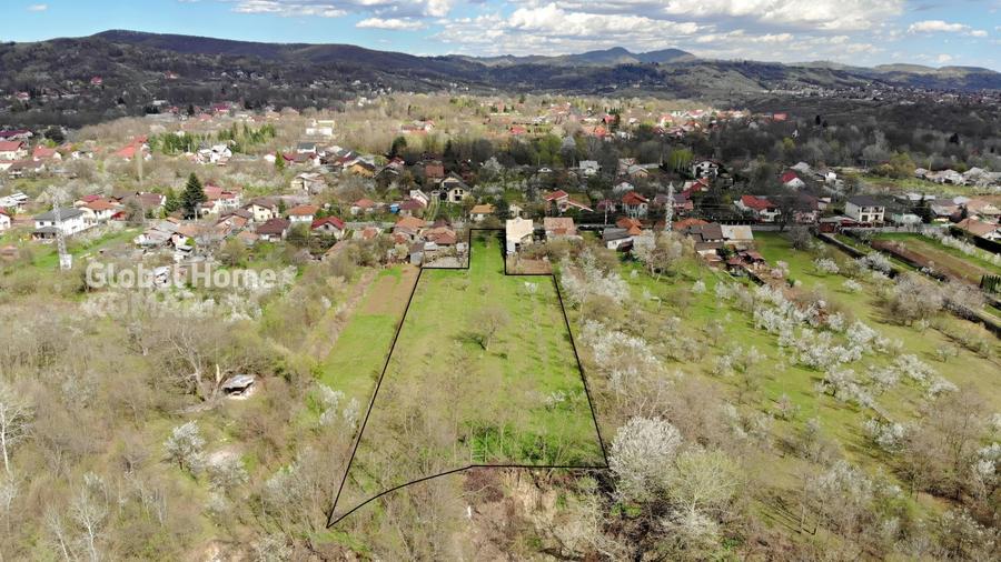 Teren Construcții intravilan de 4898 mp, în Cornu de Jos (Cornu)