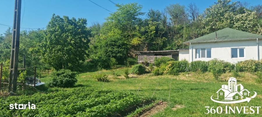 Casă cu 3 camere cu Teren 2400 Mp în Mahmudia